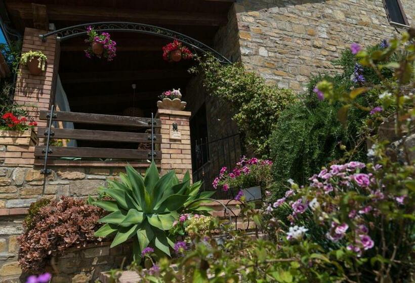 Bed and Breakfast Il Brillocco