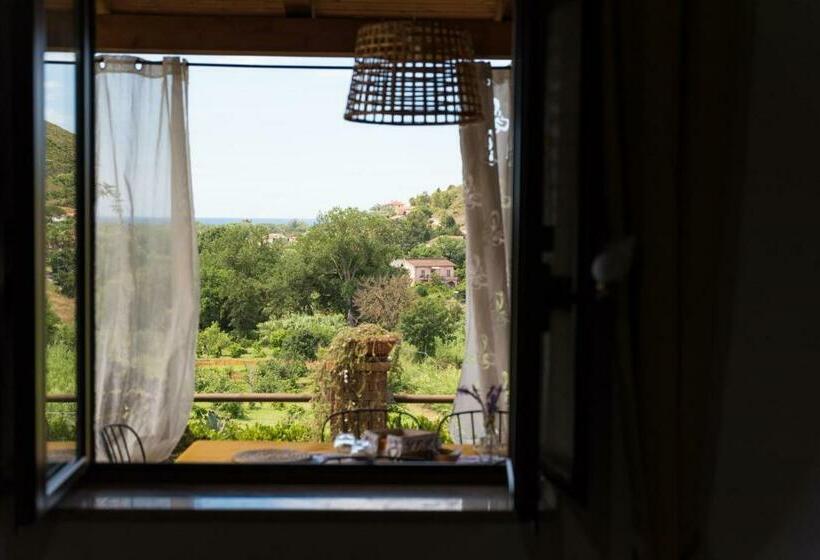 Bed and Breakfast Il Brillocco