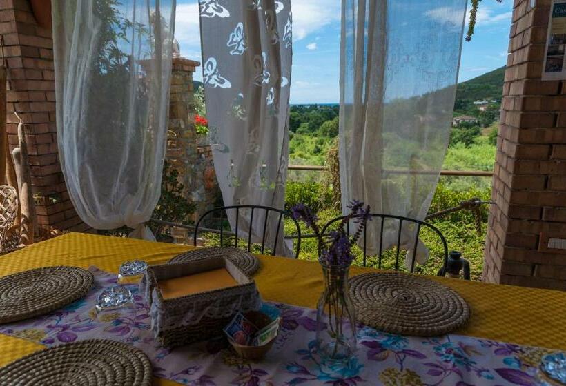 Bed and Breakfast Il Brillocco