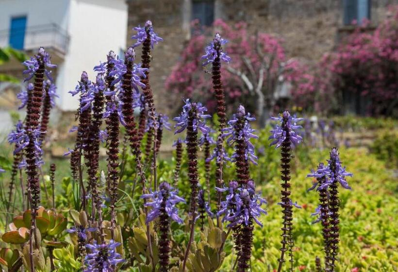 Bed and Breakfast Il Brillocco