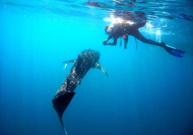 Hotelli Kura Kura Resort