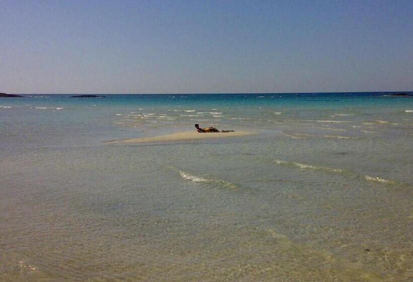 Pensjonat Dimora Il Girasole