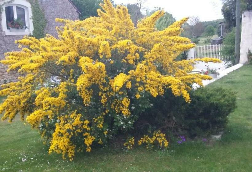 بنسيون Villa Rosa