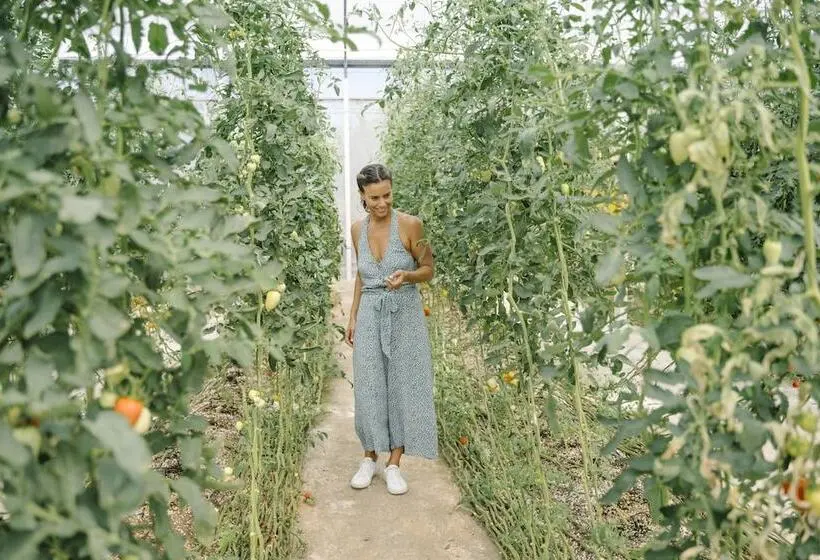 Generations Riviera Maya Family Resort - All & More Inclusive