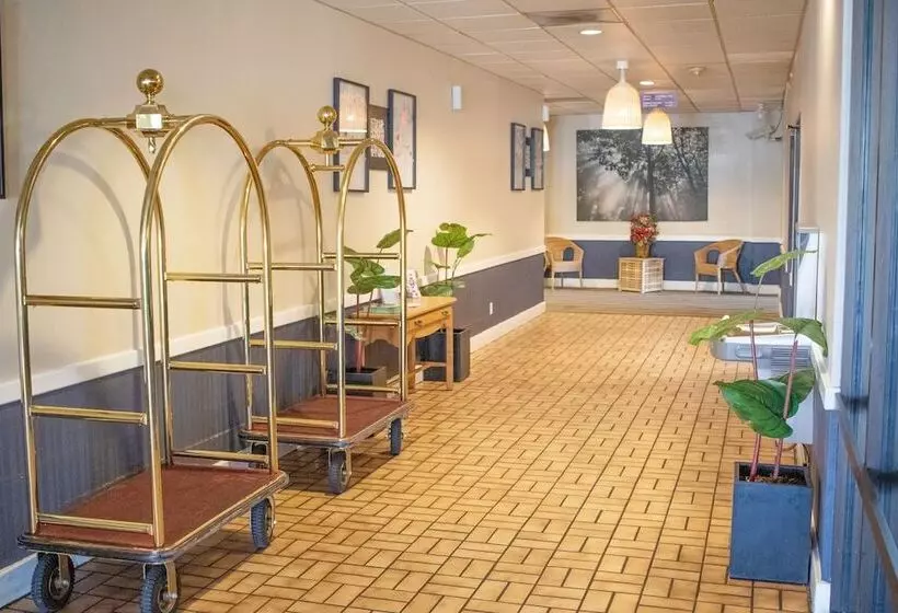 ホテル Abilene Whitten Inn