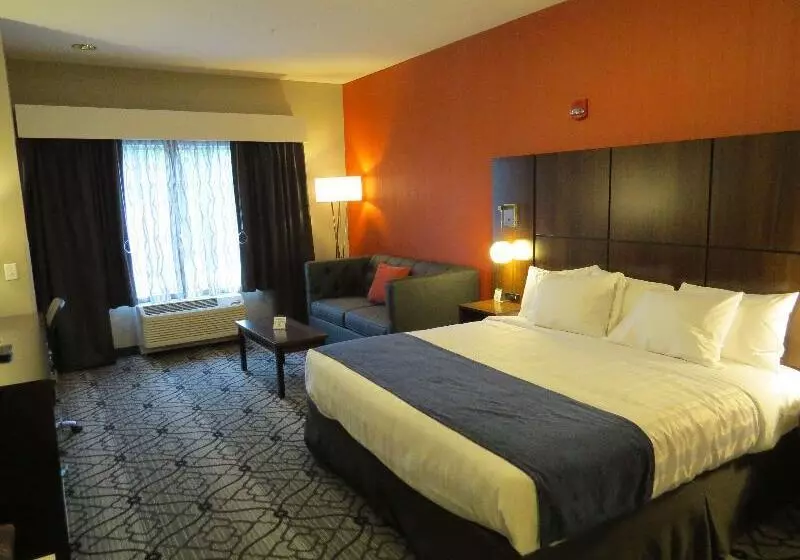 酒店 Best Western Gettysburg