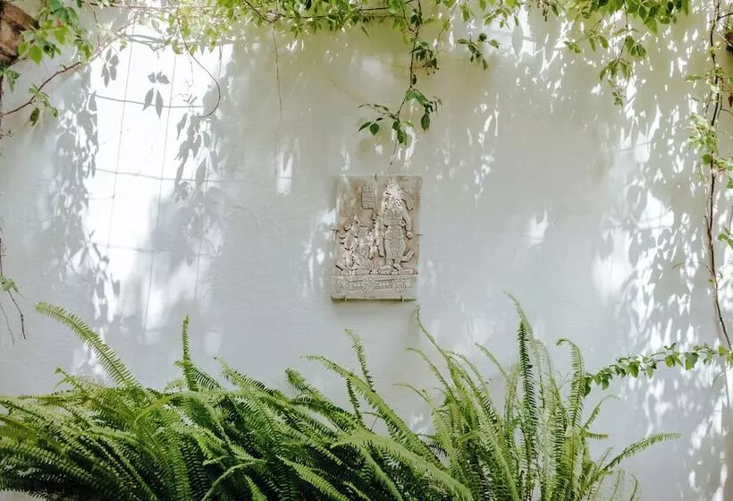 ホテル Casa Quetzal