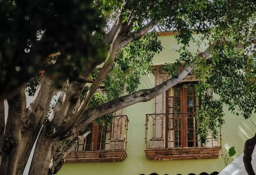 ホテル Casa Quetzal