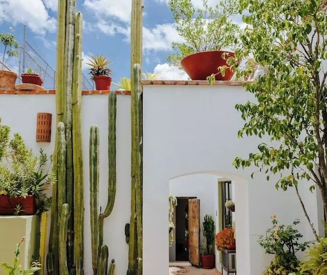 ホテル Casa Quetzal