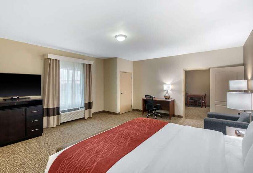 Отель Comfort Inn & Suites Cedar Hill Duncanville