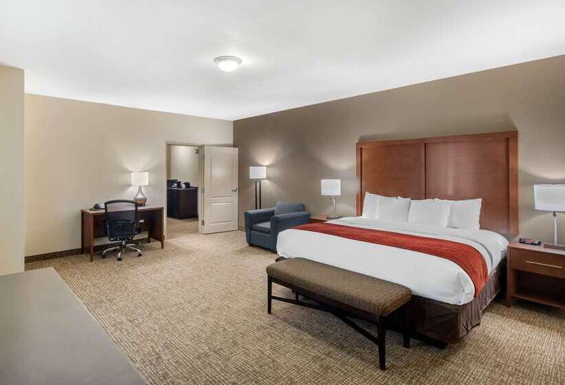 Отель Comfort Inn & Suites Cedar Hill Duncanville