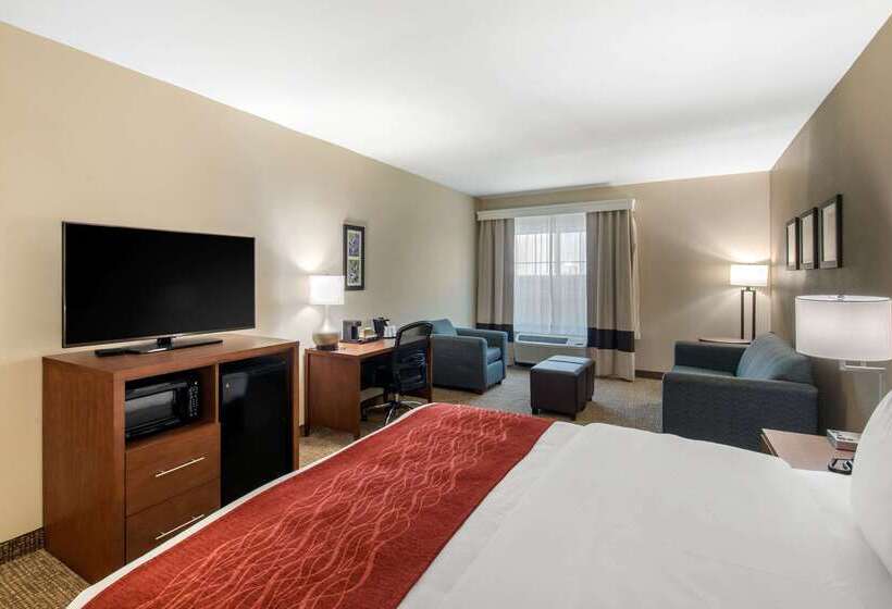 Отель Comfort Inn & Suites Cedar Hill Duncanville