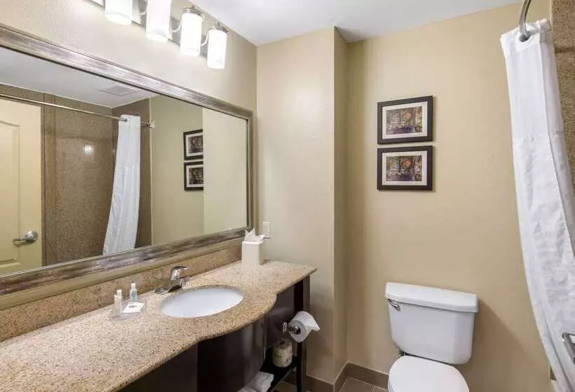 Hotelli Comfort Inn & Suites Cedar Hill Duncanville