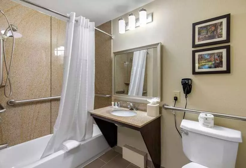 Hotelli Comfort Inn & Suites Cedar Hill Duncanville