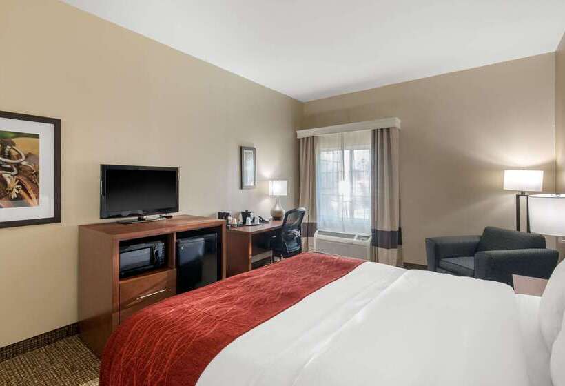 Отель Comfort Inn & Suites Cedar Hill Duncanville
