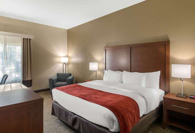 Отель Comfort Inn & Suites Cedar Hill Duncanville