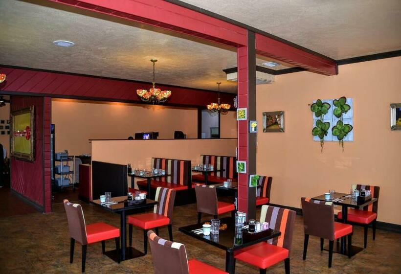 Otel Mountain View Lodge