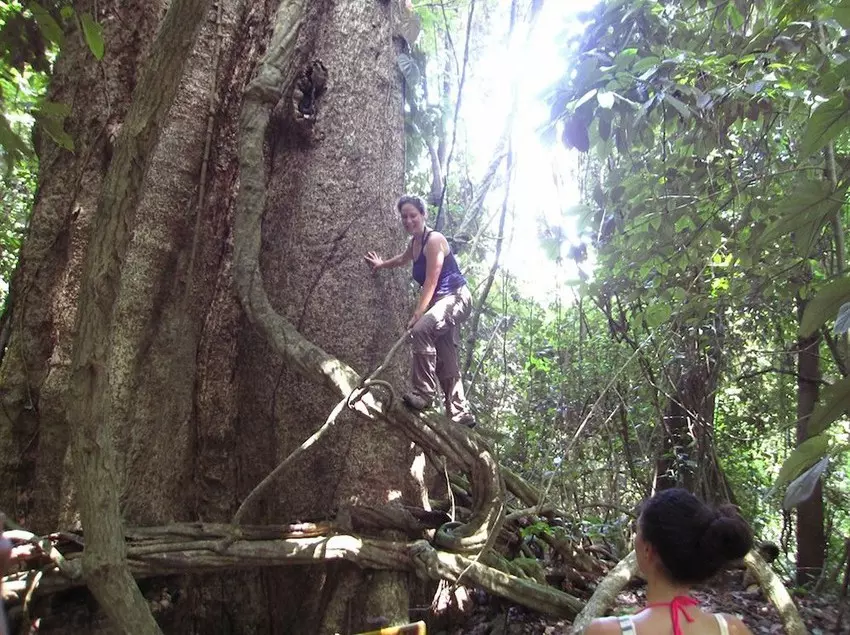 Отель Samasati Nature Retreat