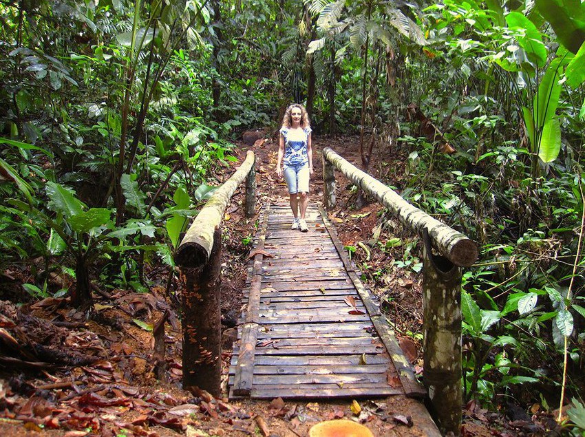 Отель Samasati Nature Retreat