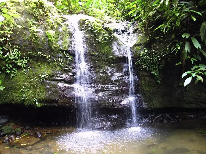 Отель Samasati Nature Retreat