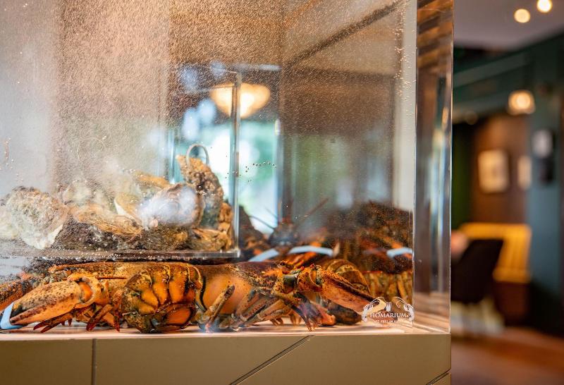 בית מלון כפרי & Spa Savarin   Rijswijk, The Hague