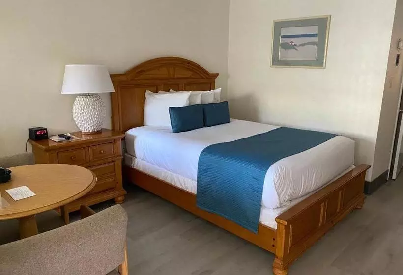 Motel Beach Shell Inn