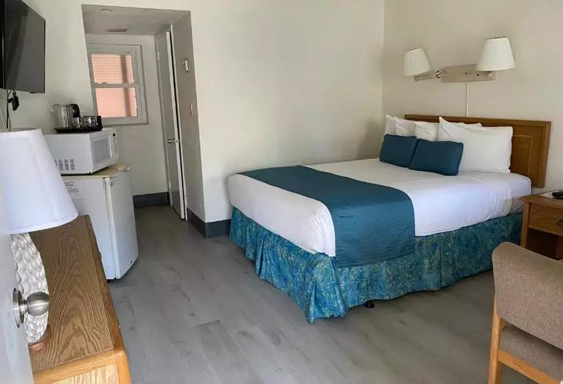 Motel Beach Shell Inn