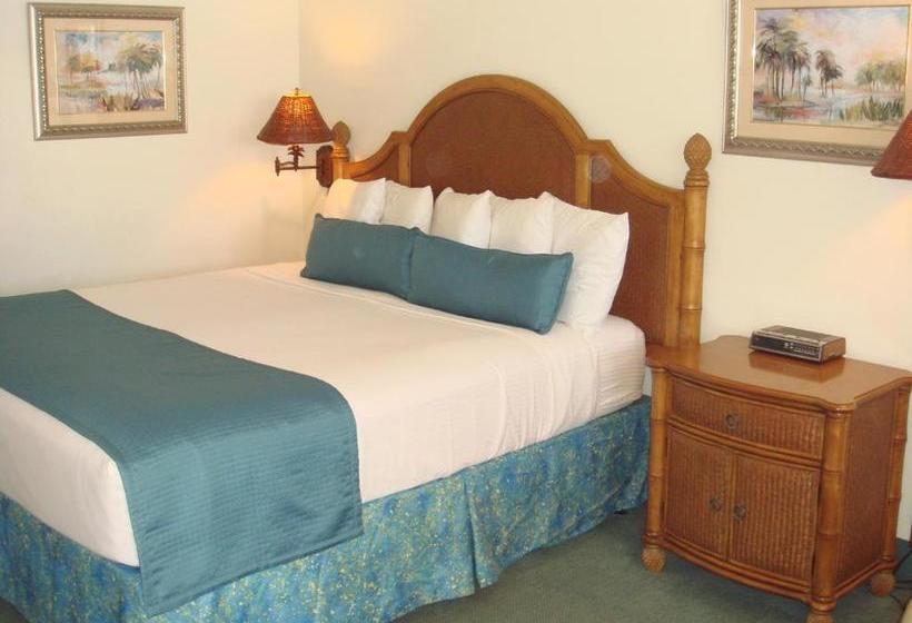 מוטל Beach Shell Inn