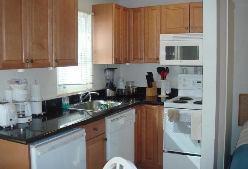 מוטל Beach Shell Inn