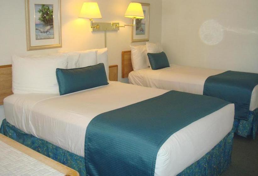 מוטל Beach Shell Inn