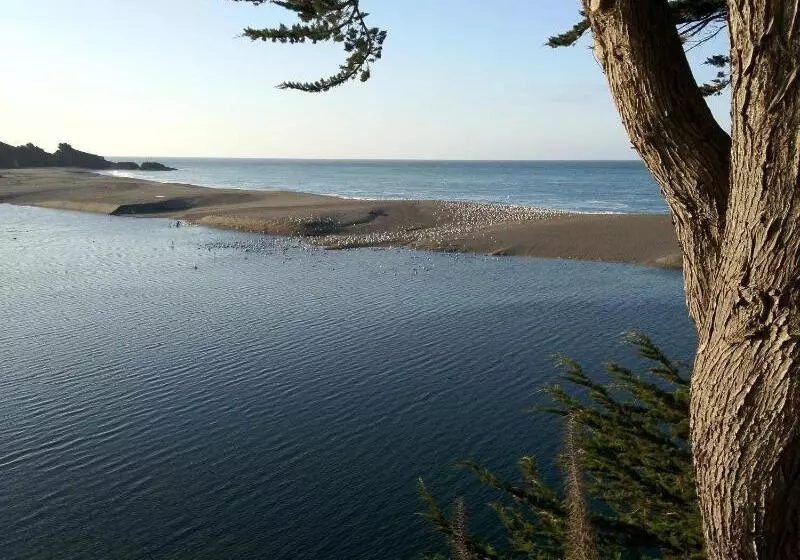 汽车旅馆  Surf Inn