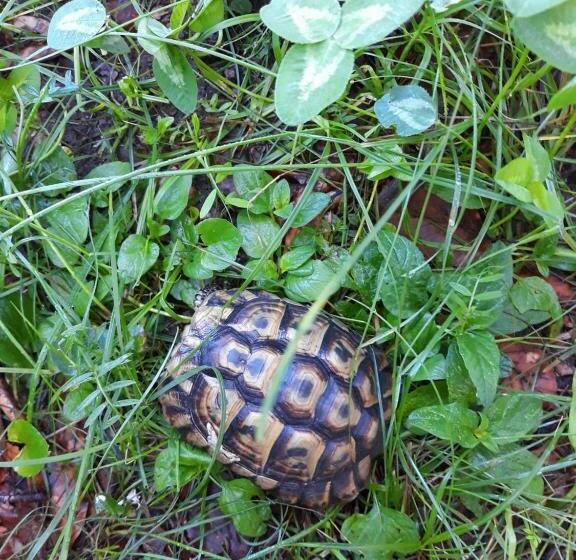 민박 Mas Des Baüs