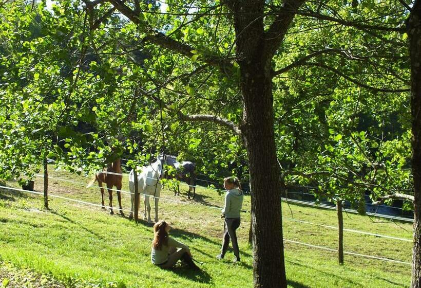 فندق Les Grillons Du Morvan