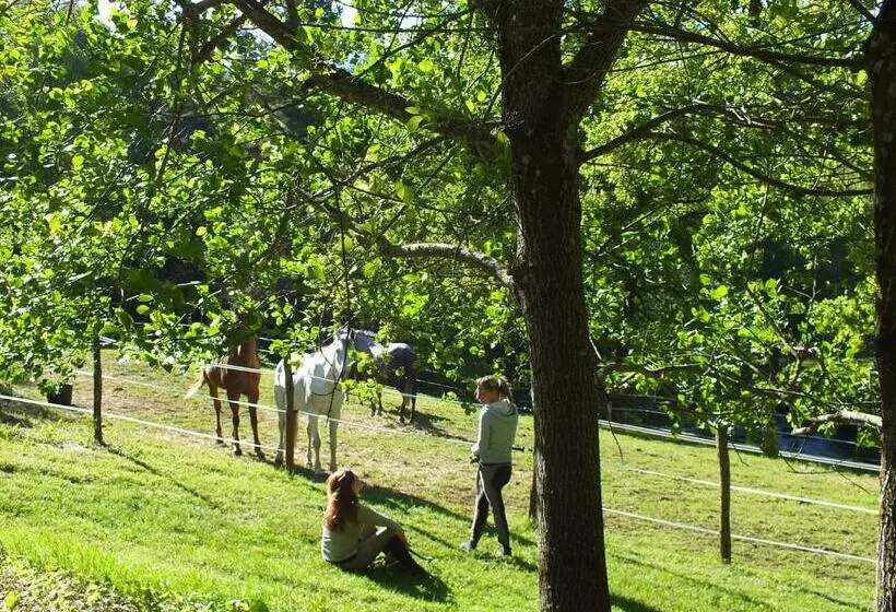 ホテル Les Grillons Du Morvan