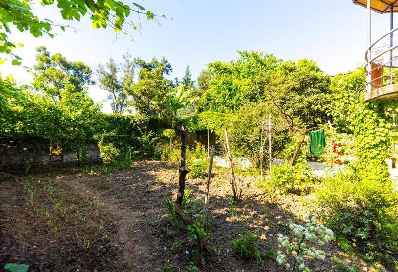 پانسیون Samno Guest House