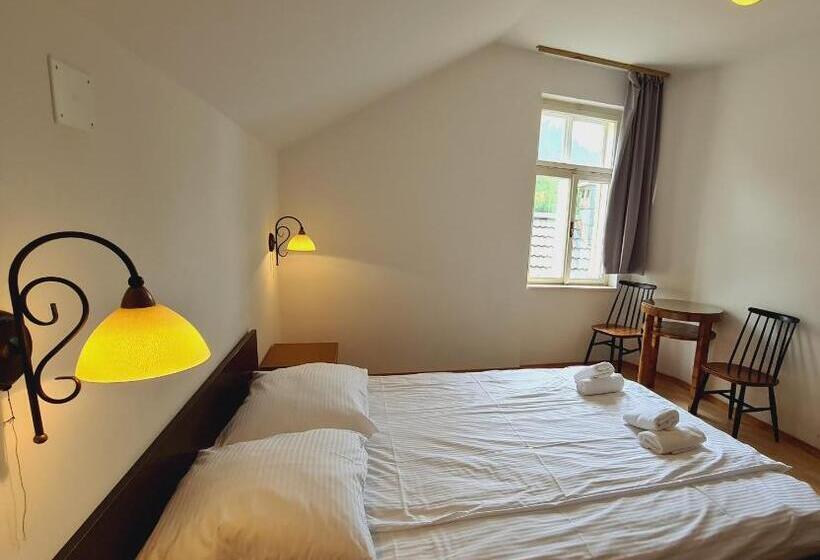 Пансион Vila Gorenka