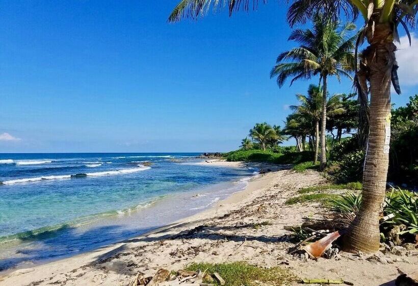 Camp Utila Village   Hostel