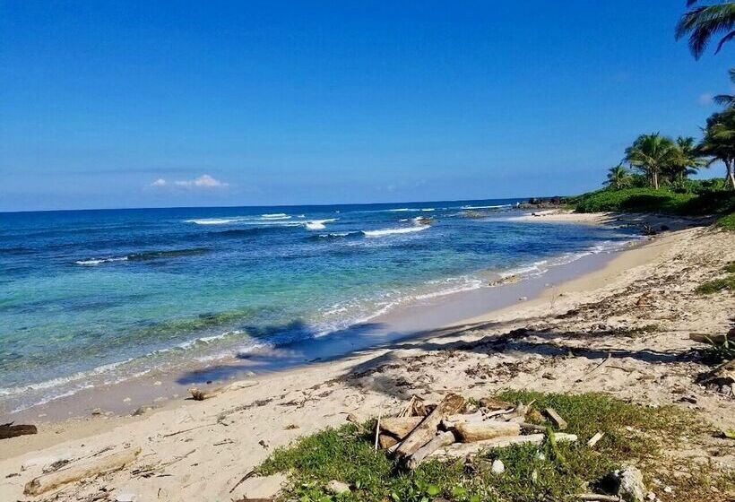 Camp Utila Village   Hostel