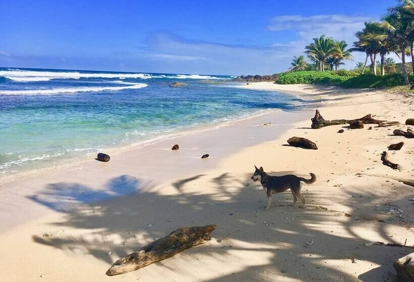 Camp Utila Village   Hostel