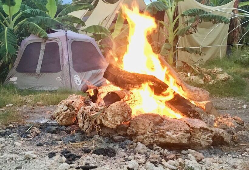 Camp Utila Village   Hostel