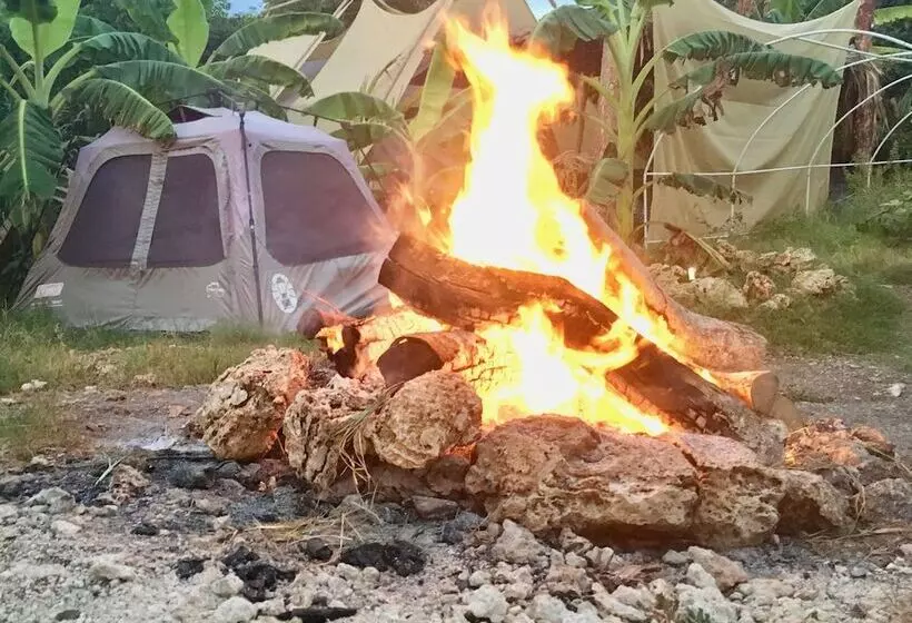 Camp Utila Village   Hostel