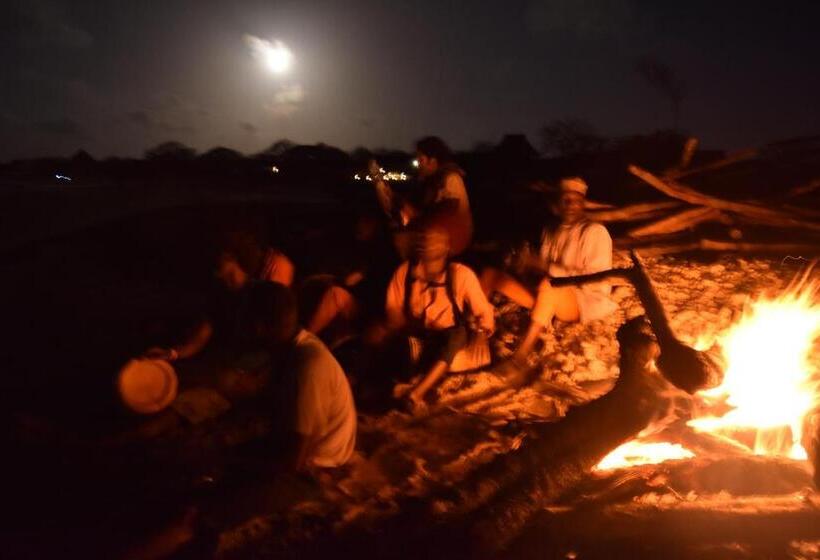 پانسیون Amu House