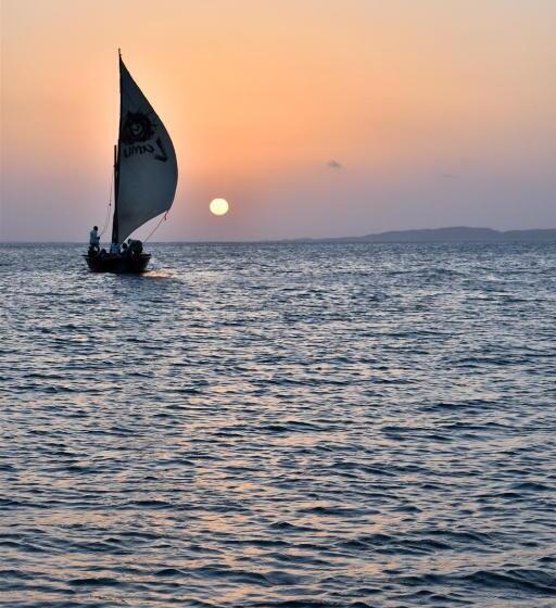 پانسیون Amu House