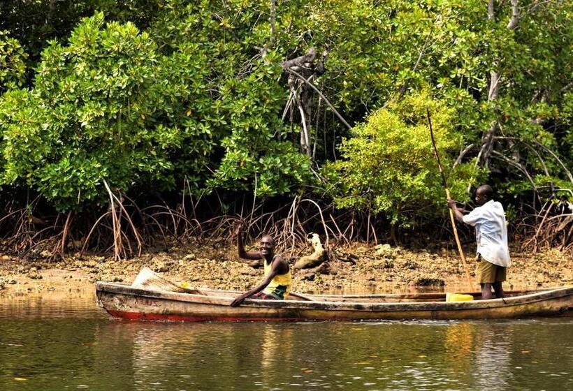 پانسیون Amu House