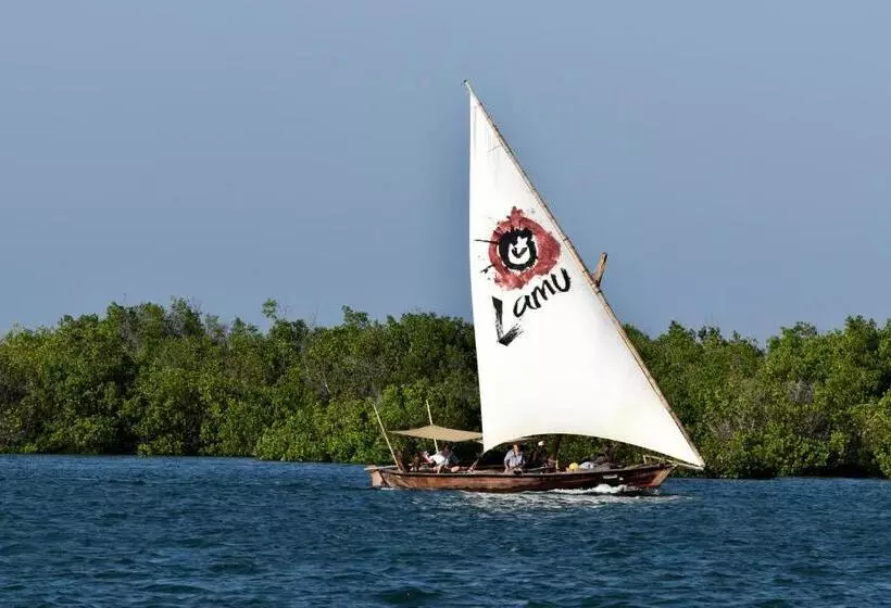 پانسیون Amu House