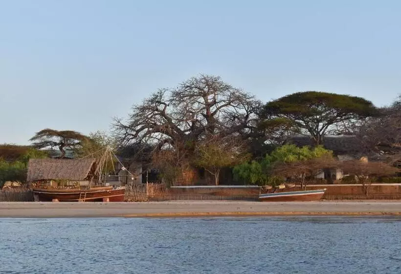 پانسیون Amu House