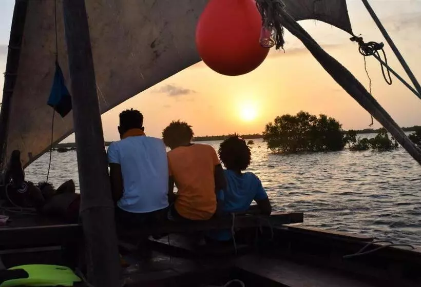 پانسیون Amu House