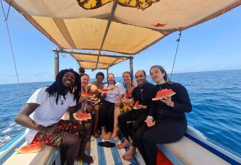 پانسیون Amu House