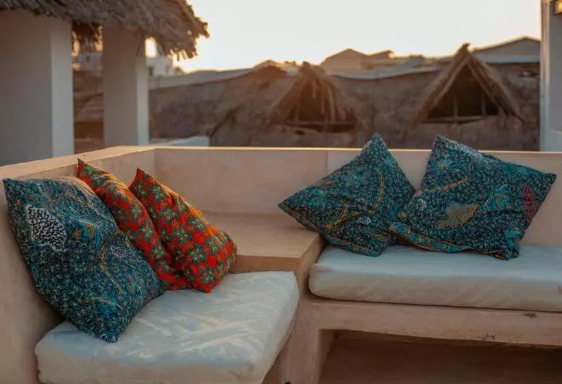 پانسیون Amu House