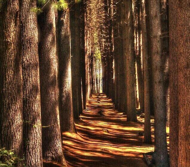 호텔 Riverglade Caravan Park